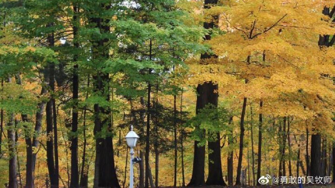 最新裂变推广专业化打造您的直播商城:账号批发与笔记推广资源的一站式获取,指导老师回应本科生连发多篇